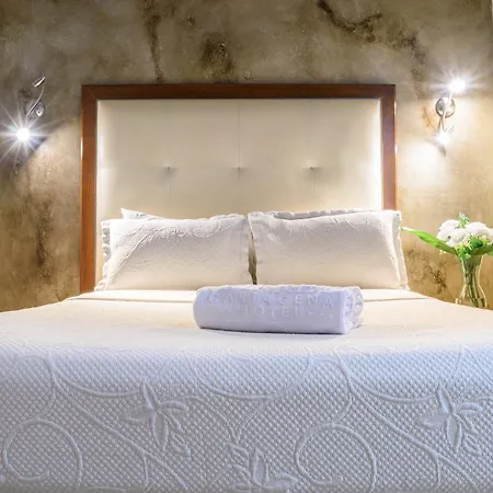 Virrey Hotel