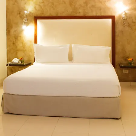 Virrey Hotel 4*